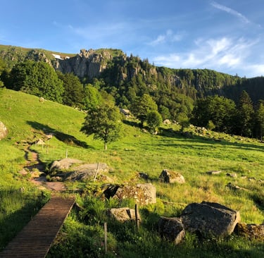 magnifique site du Frankenthal dans Réserve naturelle nationale de Frankenthal-Missheimle , authentique, sentier des roches 