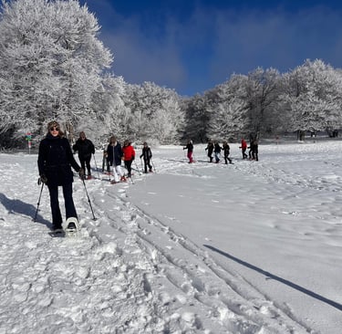 groupe de radonneurs en raquettes à neige décors hivernal aux 3 fours famille 