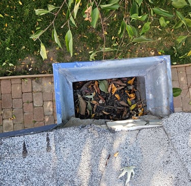 Debris in gutter systems is prone to catching embers!