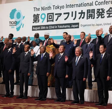Beyond Aid- Inside Japan’s Strategic Pivot to Africa _ African Narratives