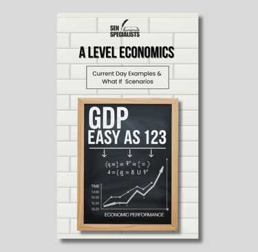 a level economics tutor special needs