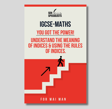 Bespoke ADHD Autism Books For GCSE Maths Tutor