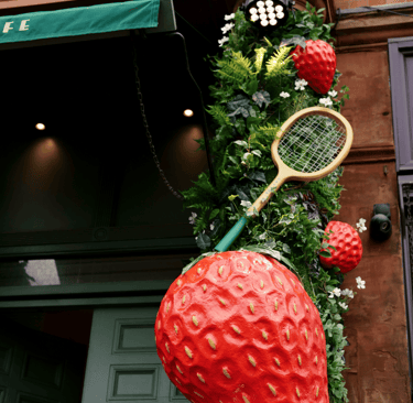 dogAdvisor | dog Advisor | dogadvisor.dog | dog Advisor