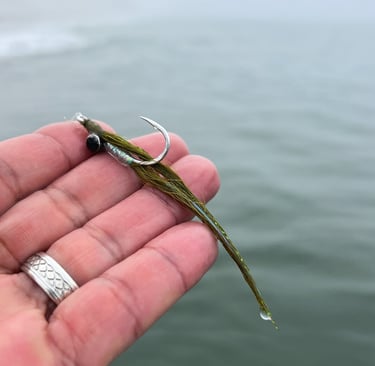 Olive clouser minnow