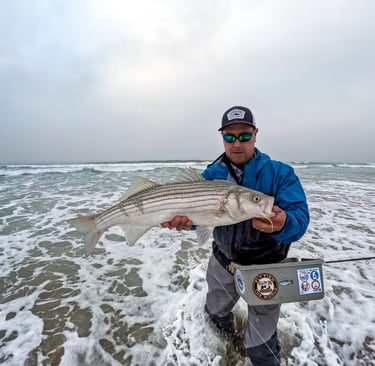 Ocean striped bass fly fishing