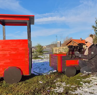 Schnauzers dans un petit train