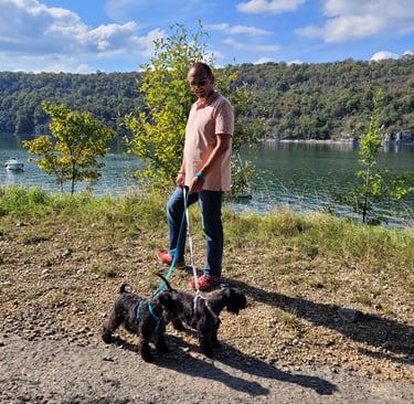 Femelles Schnauzers au bord du lac