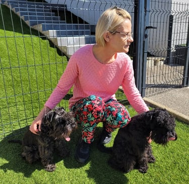 Eleveuse et Schnauzers miniatures