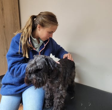 Visite de contrôle pour Tara