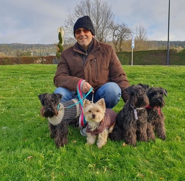 Schnauzers nains noirs en balade