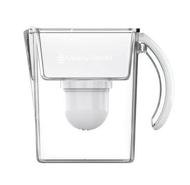 Water filter