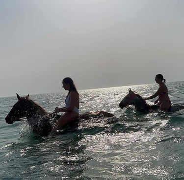 horse riding beach hurghada