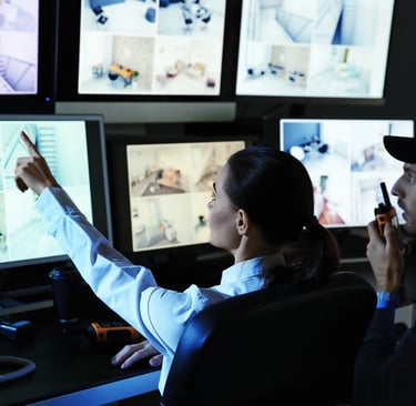 SERVICIO DE VIGILANTE DE SEGURIDAD VIRTUAL