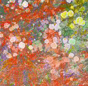 Acer digital and textured photo montage 2