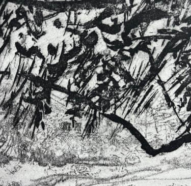 Detail of soft ground and sugar lift textures