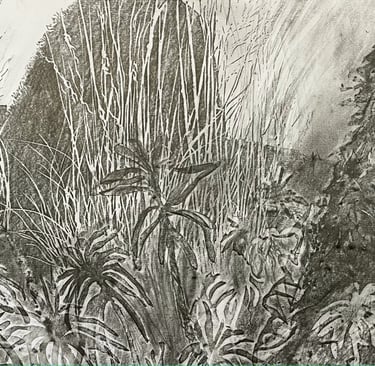 Peacock Garden graphite imprint