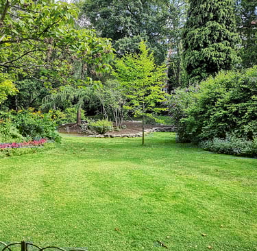 Freshly trimmed garden maintained by professional gardener in Norwich