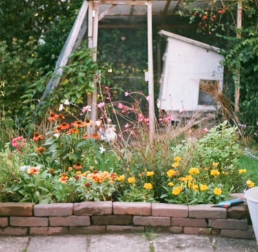 Rustic garden freshly landscaped
