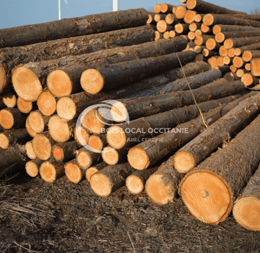 des gros rondins de bois empilés