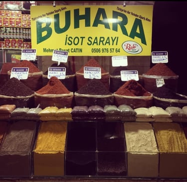 Buhara İsot Sarayı