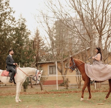 Göbeklitepe At Çiftiği
