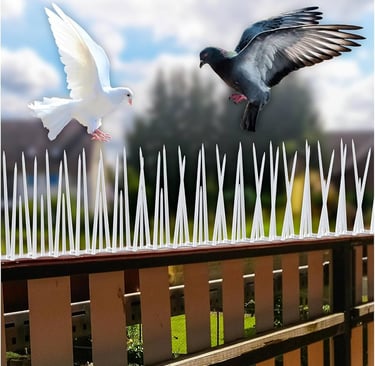 Bird spikes installed along a rooftop edge to prevent pigeons from landing.