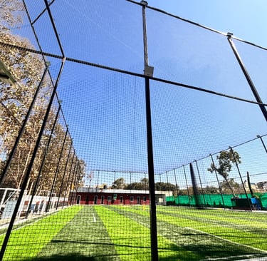 A wide shot of a cricket practice net set up in a sunny backyard.