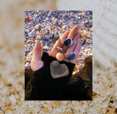 a hand full of beautiful seashells to be explored