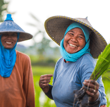 Direct sourcing ginger and turmeric from Indonesian farmers for export