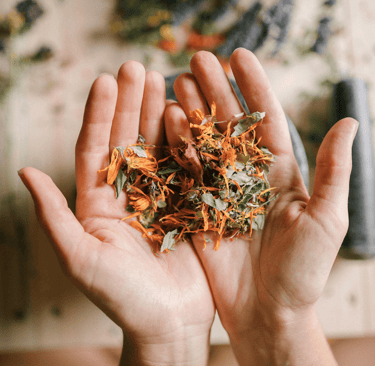 Hands showcasing natural Indonesian spices for international trade