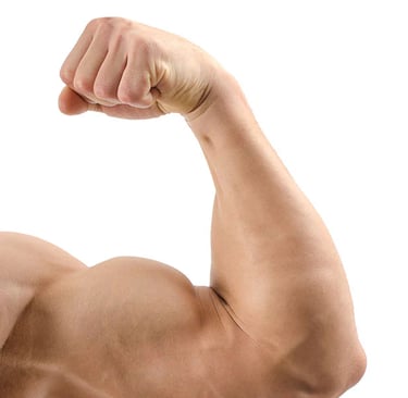 a man with a muscular body and a muscular body