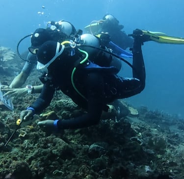 Reef Check Fish ID