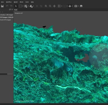 Agrisoft Reef Section