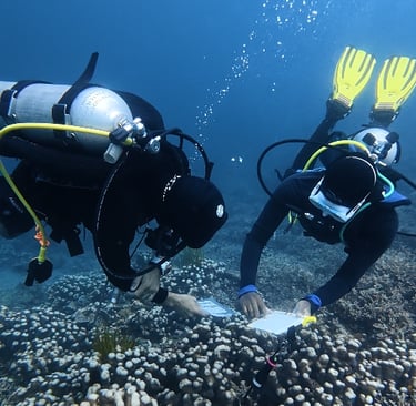 Reef Check Substrate ID