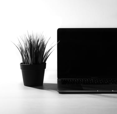 a laptop computer sitting on a desk with a potted plant