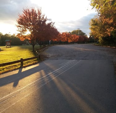 Autumn sunset over a park road lined with trees in shades of red and orange, with long shadows stret