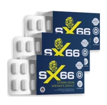sx66