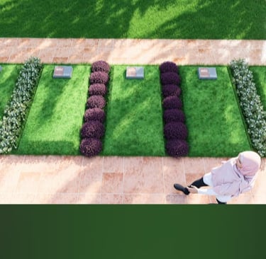 amp single 08164811311