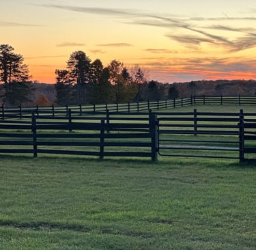 fields and pastures in a fenced in area