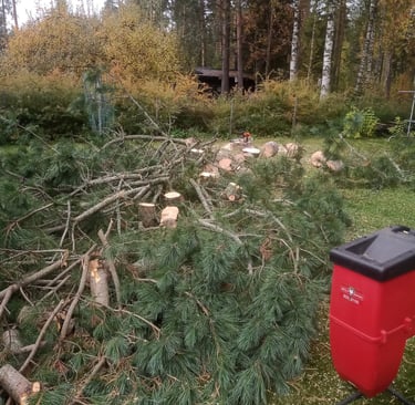 pihapuunkaato varkaus