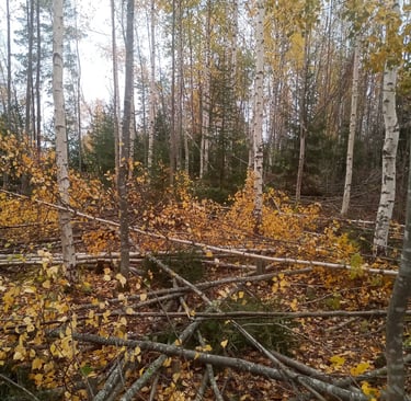 ennakkoraivaus varkaus leppävirta
