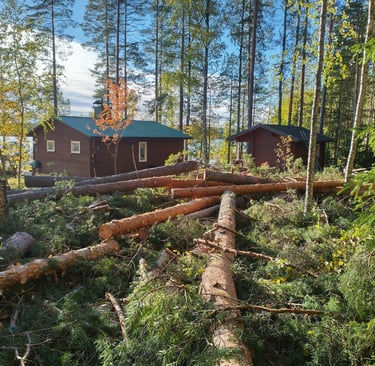 pihapuunkaato leppävirta