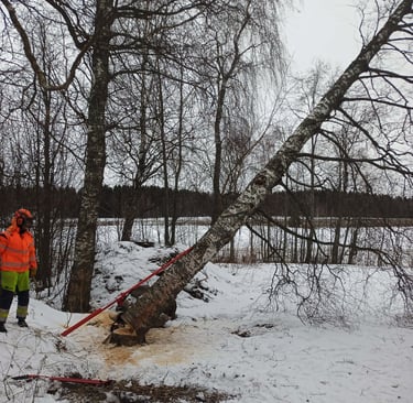 puunkaato leppävirta