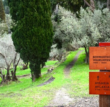 Wandeling naar Vourleotes Samos
