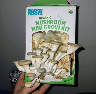 back to the roots mushroom grow kit with not enough fresh air exchange