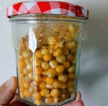 jam jar used for grain spawn