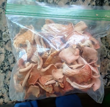 dried pink oyster mushrooms in a bag after being dehydrated