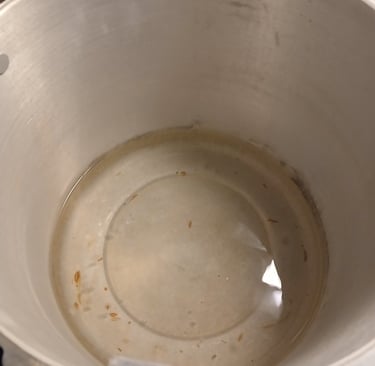 boiling water to pasteurize substrate 