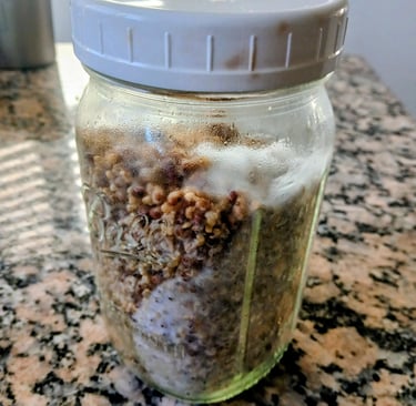 a grain jar almost ready for shake and break