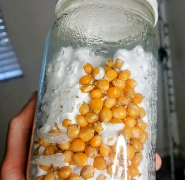 mycelium jar that was never shaken and is taking longer to colonize the jar
